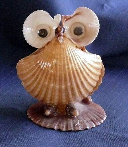 عکس کاردستی با صدف کاردستی با صدف,تصاویر کاردستی با صدف,ساخت کاردستی با صدف