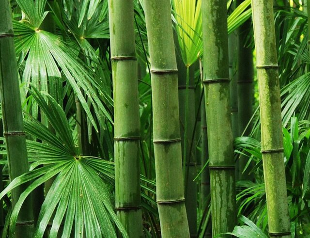 ابداع باتری ،اخبارتکنولوژی ،خبرهای تکنولوژی ابداع باتری ,اخبار تکنولوژی ,خبرهای تکنولوژی