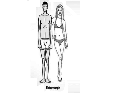 استایل بدنی مزومورف, آشنایی با انواع تیپ بدنی, خصوصیات انواع تیپ‌های بدنی