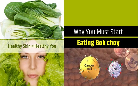 خواص بوک چوی سبزي بوك چوي, بوک چوی, کلم بوک چوی