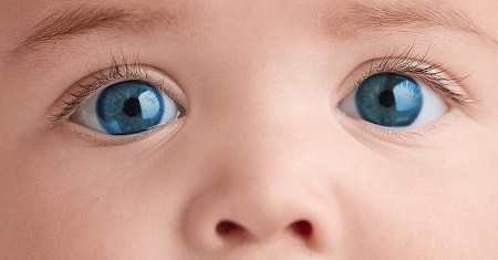 عوامل موثر بر رنگی شدن چشم جنین در شکم مادر, انگور و رنگ چشم جنین, برای رنگی شدن چشم جنین چه بخوریم
