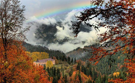 عکس پارک ملی تفلیس مکان های تفریحی گرجستان,مکان های دیدنی گرجستان,مقاصد گردشگری گرجستان
