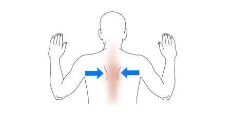 عضلات سه سر پشت بازو, درمان پارگی تاندون عضله سه سر بازویی, ورزش برای درمان تاندون سه سر بازویی