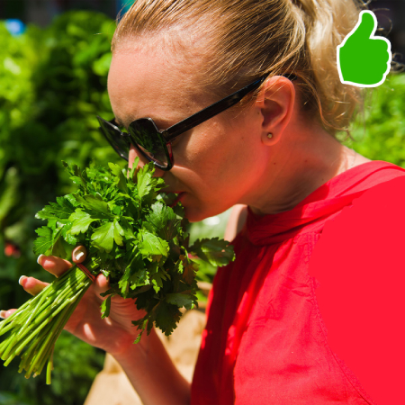 جلوگیری از آلزایمر, راههای پیشگیری از آلزایمر