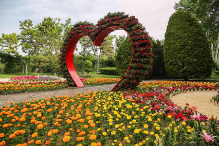 مجموعه گونه های داوودی، باغ گل های اصفهان درباره ی باغ گل های اصفهان, تصاویری از باغ گل های اصفهان, تصاویری از باغ گلهای اصفهان