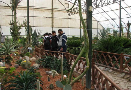 تصاویر باغ گياهانی دارويی باغ گل های اصفهان قسمت های مختلف باغ گل های اصفهان,مکان باغ گل های اصفهان,معرفی باغ گل های اصفهان