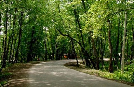 آب و هوای پارک جنگلی لتمال کن پارک جنگلی لتمال کن, لتمال کن, پارک لتمال کن