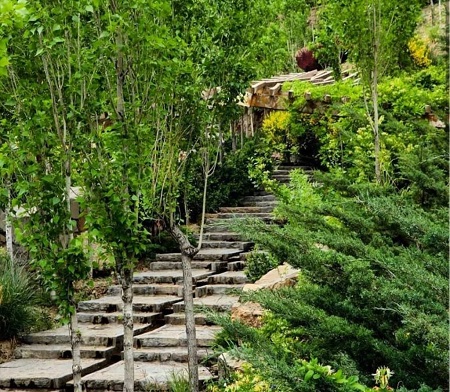 امکانات رفاهی پارک جنگلی لتمال کن لتمال کن کجاست, پارک جنگلی لتمال کن, لتمال کن