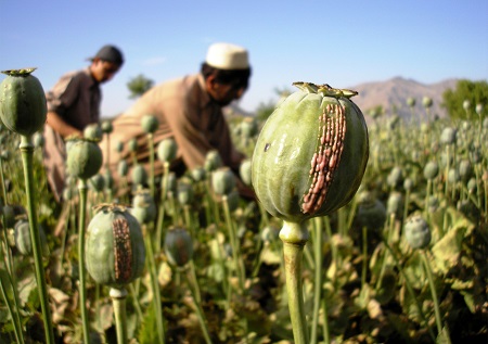 مواد مخدر سستی زا, انواع مواد مخدر سستی زا, مخدر سستی زا