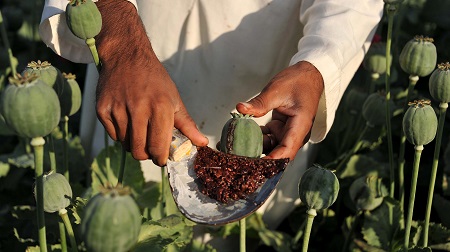 مکانیزم مواد مخدر سستی زا, مواد مخدر سستی زا, انواع مواد مخدر سستی زا