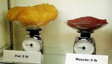تفاوت وزن كم كردن با سايز كم كردن, اندازه دور کمر زنان و مردان, علت کاهش وزن بدون کاهش سایز