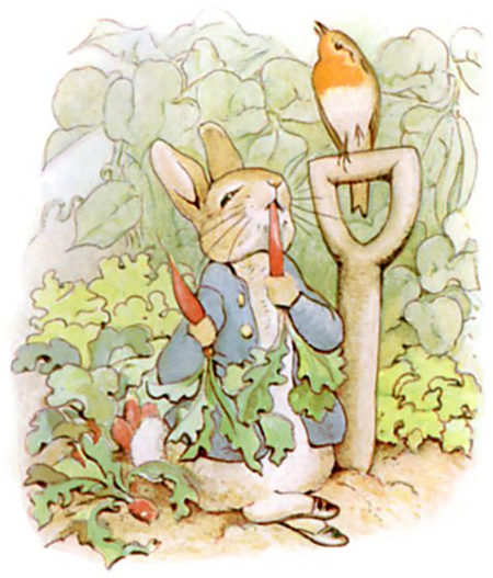 کتاب داستان پیتر خرگوشه, کتاب داستان پیتر خرگوشه, قصه پیتر خرگوشه