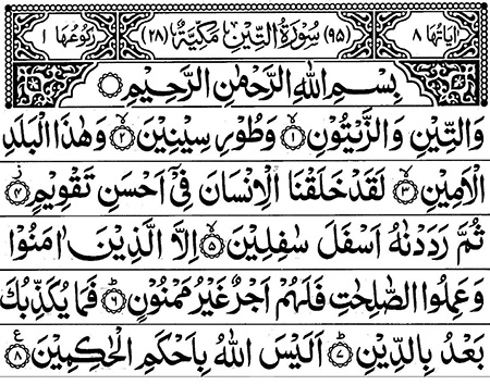 سوره تین به همراه متن و ترجمه,آشنایی با سوره تین,متن سوره تین