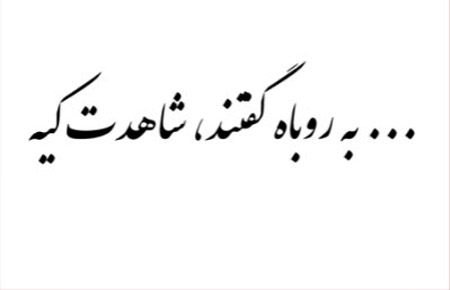 ضرب المثل ,ضرب المثل ایرانی,ضرب المثل به روباه گفتند شاهدت كيه