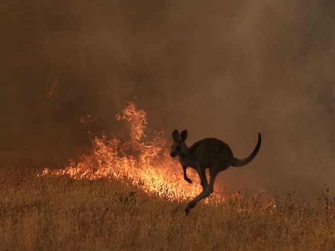 australia fire