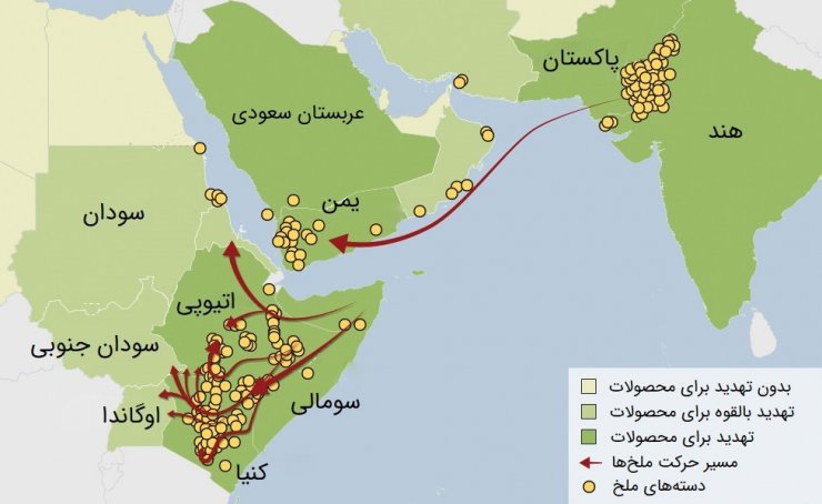 ملخ های صحرایی