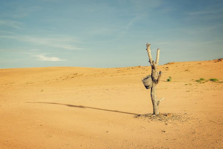 یک‌سوم از جمعیت جهان تا سال ۲۰۷۰ با اقلیم به‌شدت گرم مواجه خواهد شد