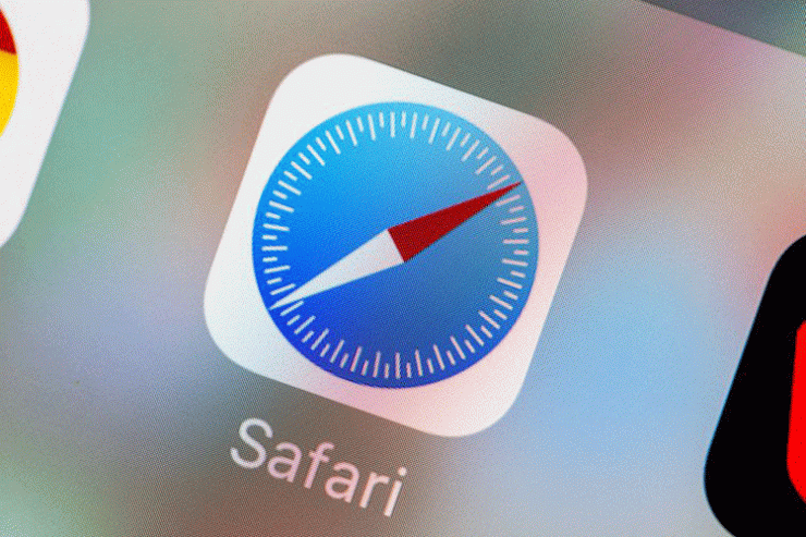 safari