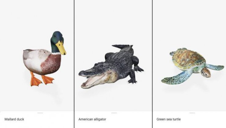 نمونه تصاویر سه‌بعدی حیوانات زیرآبی و تالاب‌ها