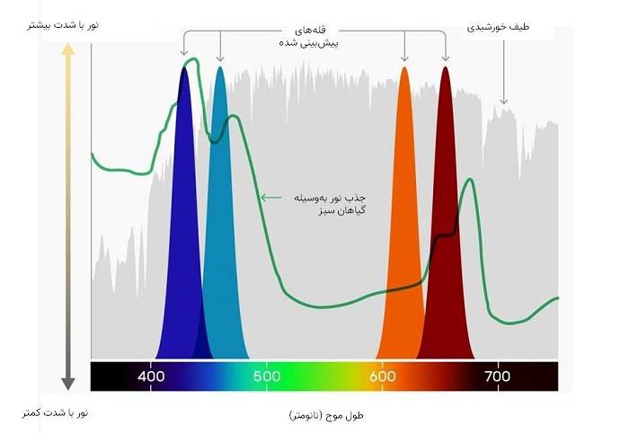 جذب نور در گیاهان