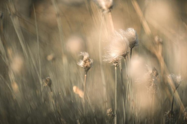 نمونه عکس برای نشان دادن اهمیت برقراری ارتباط در عکاسی منظره