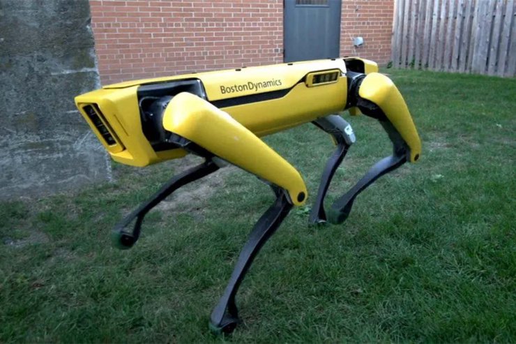 سگ ربات بوستون داینامیکس / Boston Dynamics robot dog در حال قدم زدن در چمن سبز