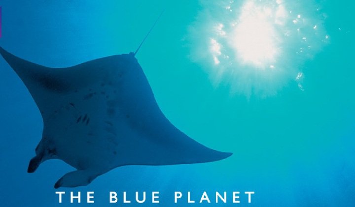 سریال مستند سیاره آبی یکی از بهترین سریالهای ساخت انگلیس