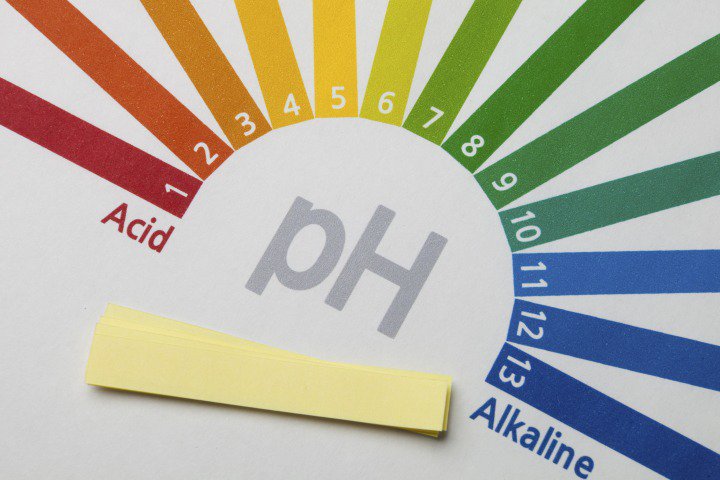 خواص چغاله بادام - حفظ تعادل pH بدن