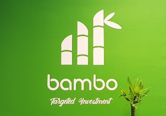 هلدینگ مالی مفید اپلیکیشن «بامبو» را عرضه می‌کند؛ یک مربی مالی و مشاور سرمایه گذاری