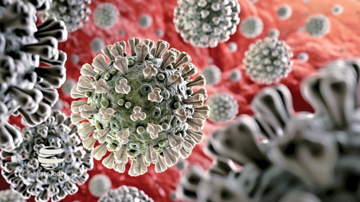 نماینده قم در مجلس: از وزیر بهداشت خواسته بودم قم را قرنطینه کند