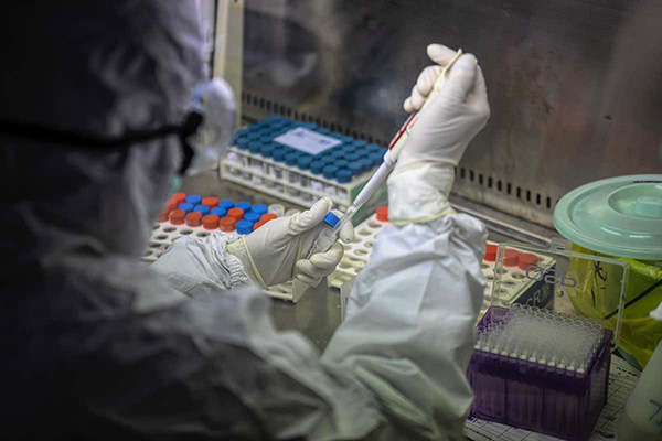 محققان: ویروس کرونا به سه نوع جهش پیدا کرده است