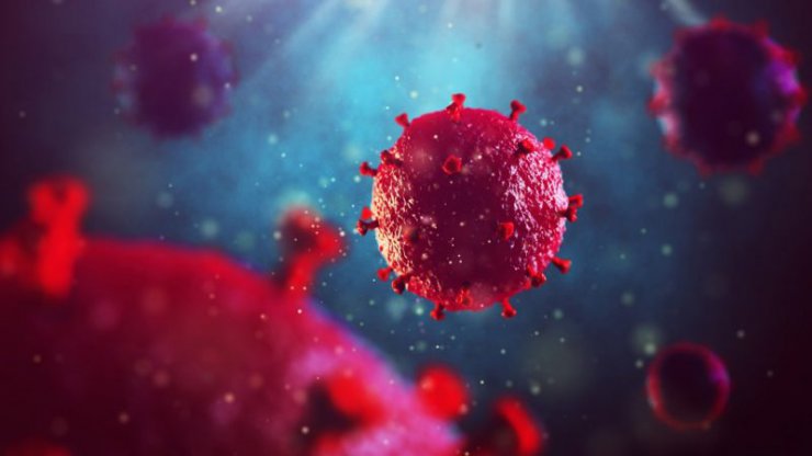 شناسایی ماده‌ای که احتمالا سیستم ایمنی را در برابر HIV و کرونا تقویت می‌کند