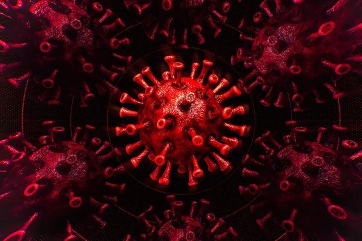 ویروس کرونا