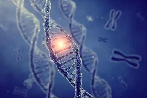 محققان بزرگترین و پیچیده‌ترین ساختار سیستم CRISPR Cas را ترسیم کردند