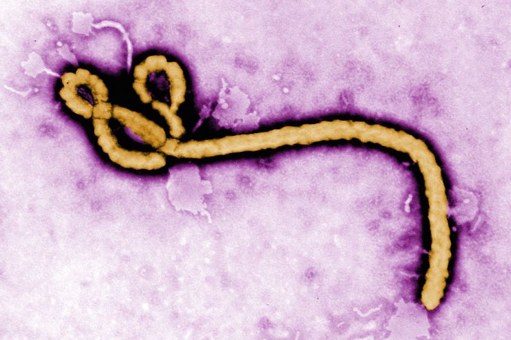 FDA اولین داروی موثر بر درمان ابولا را تایید کرد