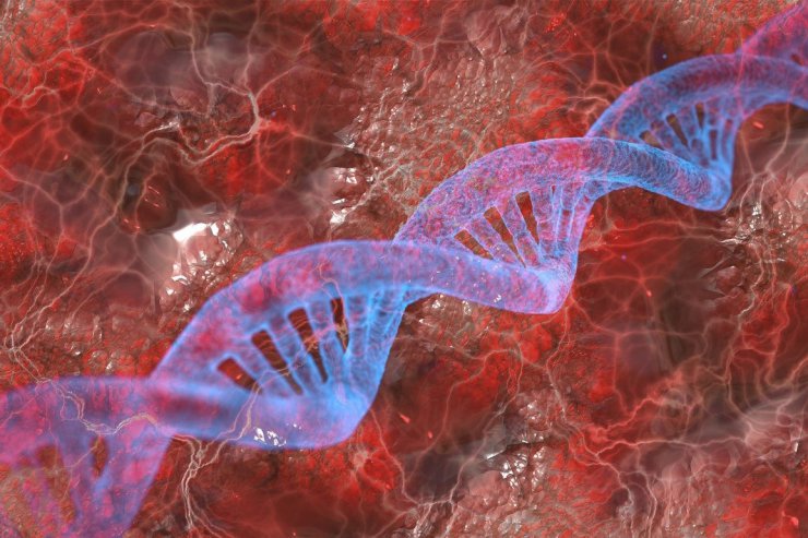 پژوهشگران موفق به کنترل عملکردهای DNA با استفاده از نور شدند