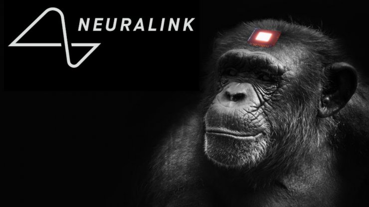 ایلان ماسک: نورالینک به میمون‌ها توانایی اجرای ذهنی بازی‌های ویدیویی را می‌دهد