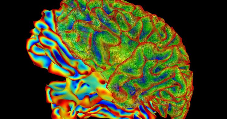 دارپا در پی خواندن سیگنال‌های مغزی با تزریق میلیون‌ها نانو ذره به بدن است