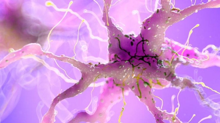 روش ژن درمانی جدید گره‌های سمی آلزایمر در مغز را کاهش می‌دهد