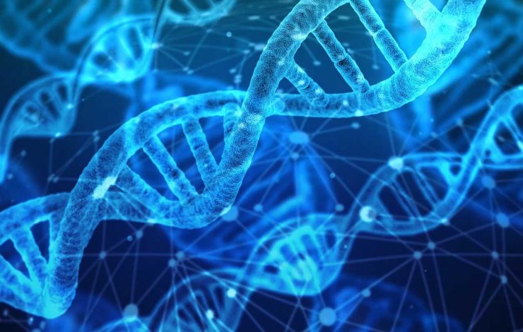 DNA محیطی