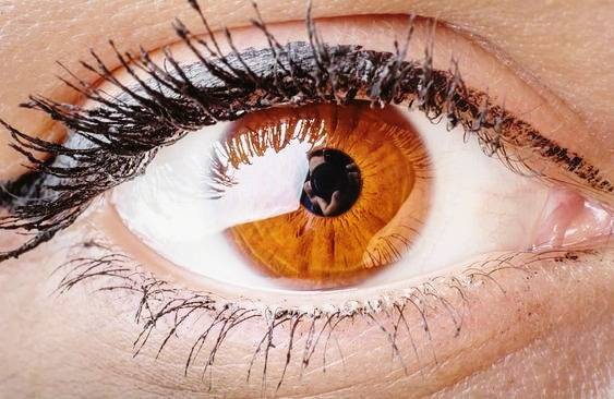 خصوصیات چشم قهوه ای چشم قهوه ای