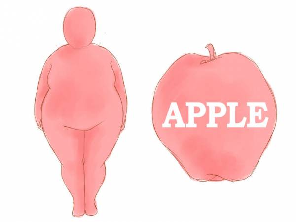 اندام سیب شکل