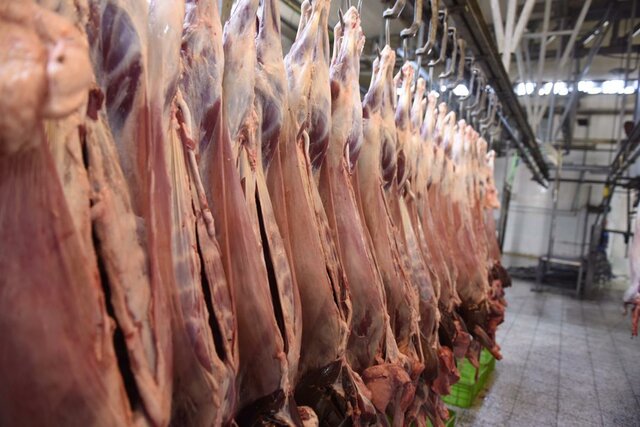 ۱۰۴ تن گوشت غیرقابل مصرف در خراسان رضوی معدوم شد