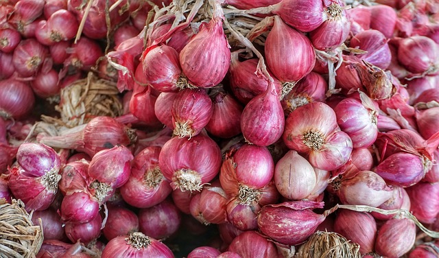 خواص موسیر