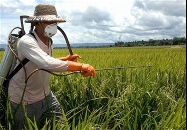 ۲ سم پرخطر حذف شد/اکثر سموم وارداتی به چین اختصاص دارد