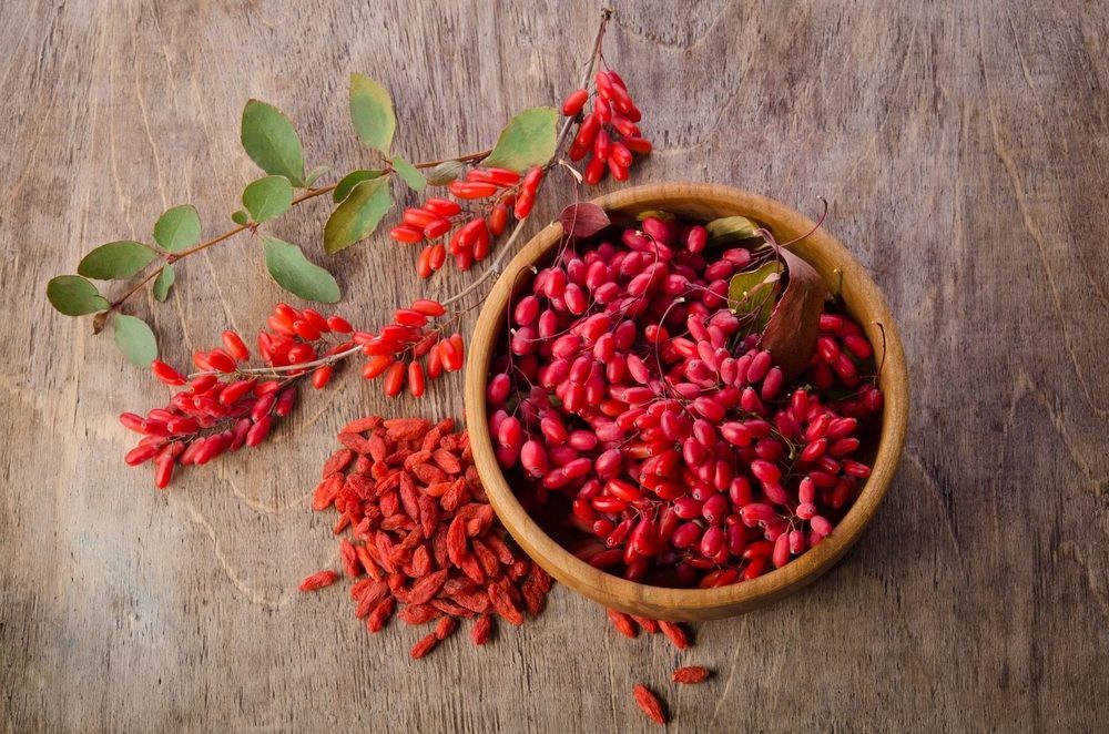 طرز تهیه قیمه نثار قزوین مجلسی و خوشمزه