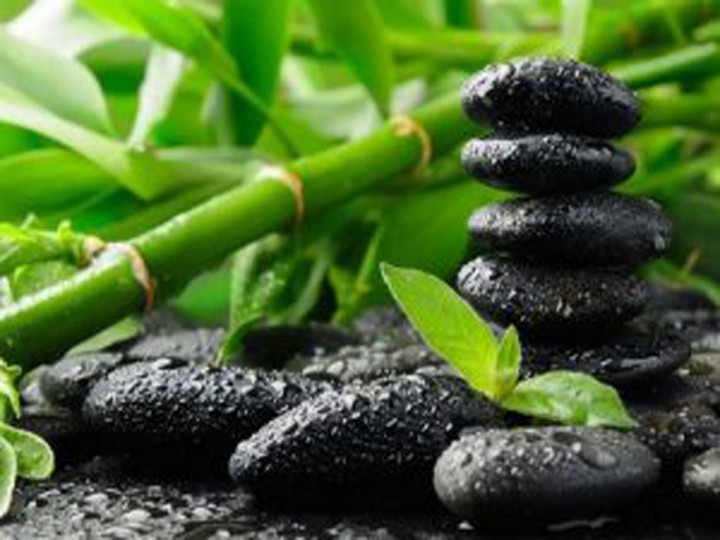 راهی برای نگهداری بهتر از گل بامبوم//دپوی عید