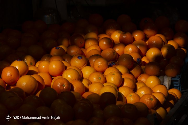 نحوه توزیع اقلام اساسی پس از شیوع ویروس کرونا/ کالاهای مختص شب عید را از کجا بخریم؟ نحوه توزیع اقلام اساسی پس از شیوع ویروس کرونا/ کالاهای مختص شب عید را از کجا بخریم؟