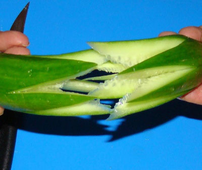 آموزش میوه آرایی + تصاویر