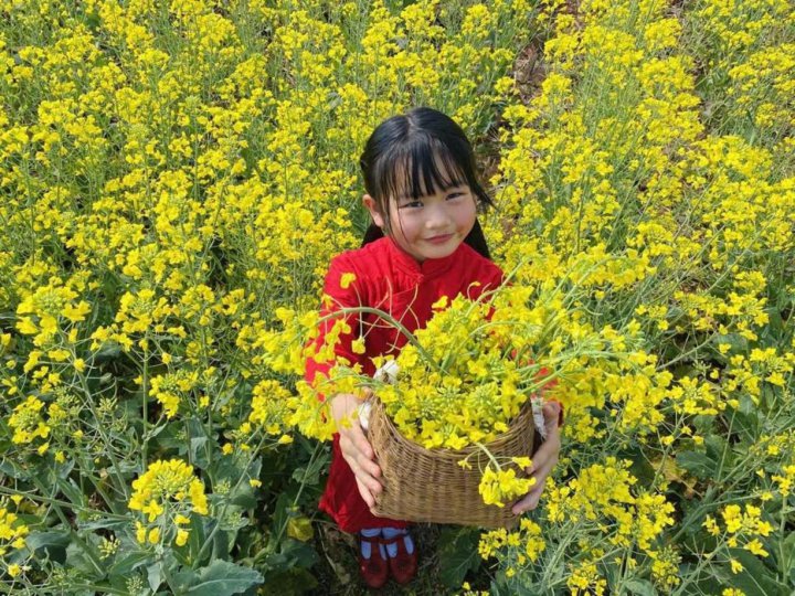 فصل بهار در کشور چین + تصاویر